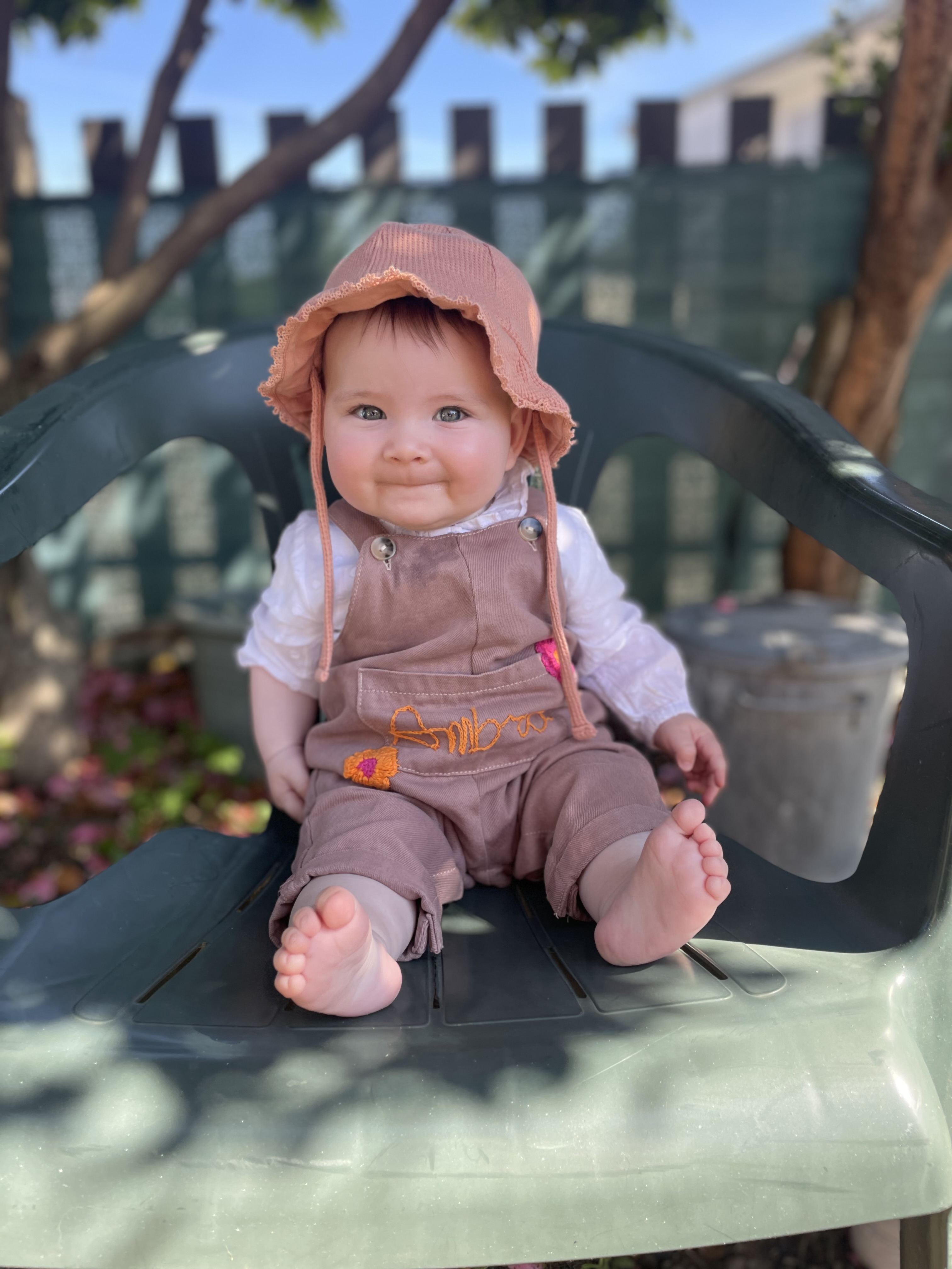 Ambra